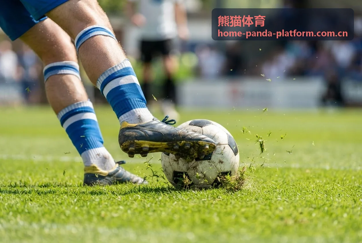 熊猫体育培训体系课程场景